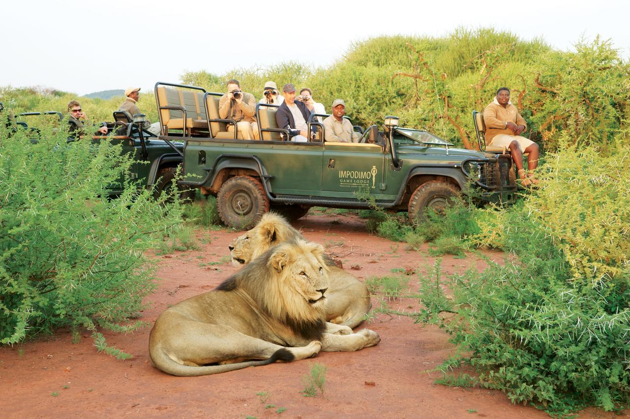 Impodimo Game Lodge Madikwe Wildreservaat Buitenkant foto